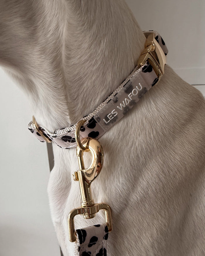 Zebra / Dalmatian Collar