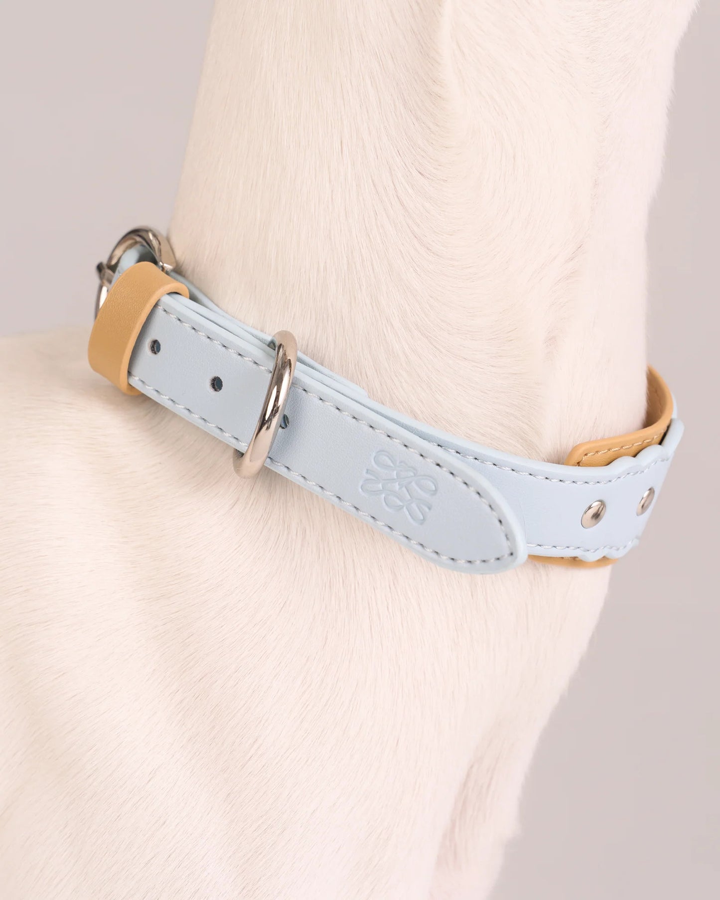 【予約】Scalloped Leather Collar / 3Color