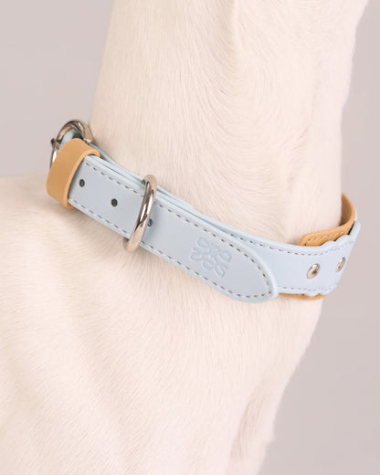 【予約】Scalloped Leather Collar / 3Color