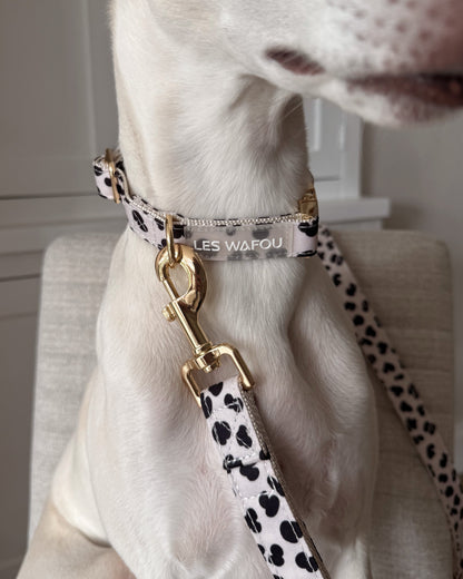 Zebra / Dalmatian Collar