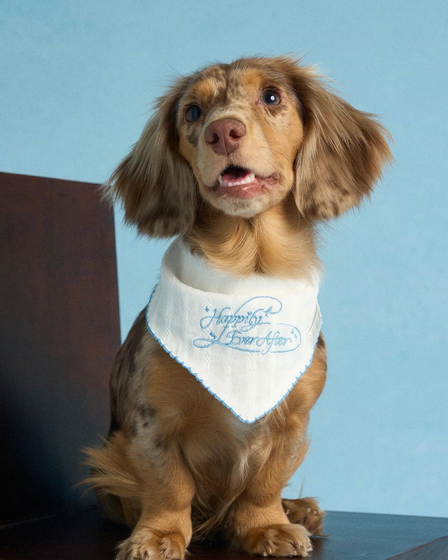 【予約】Happily Ever After Bandana / 2Color