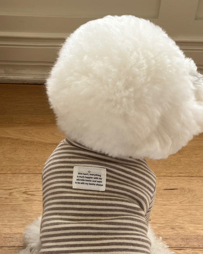 Everyday Stripe Turtle-Neck / 4Color