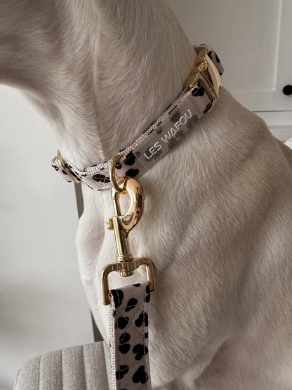 Zebra / Dalmatian Collar