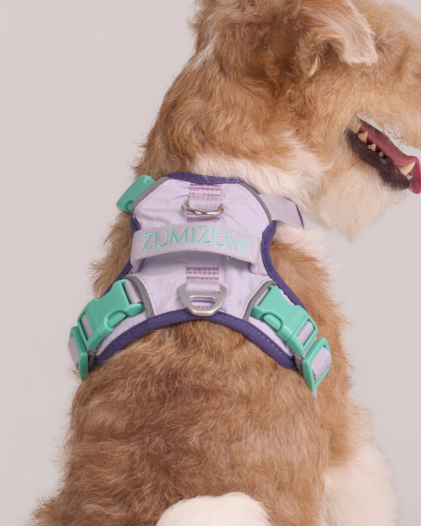 【予約】Chelsea Pie Harness / 2Color