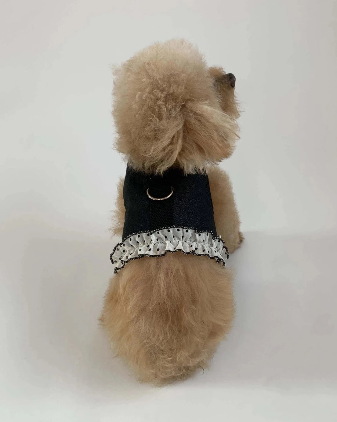 【予約】Dot Denim Harness / Dark Indigo