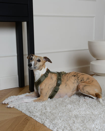 Tweed Harness