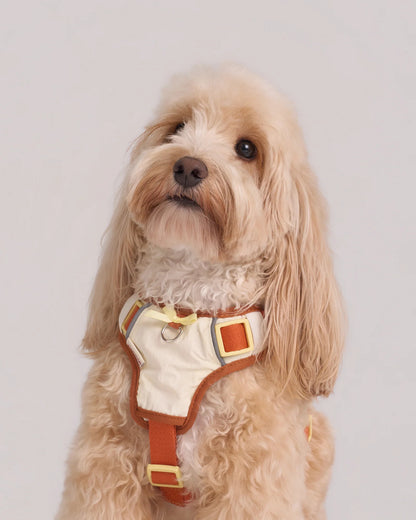 【予約】Chelsea Pie Harness / 2Color