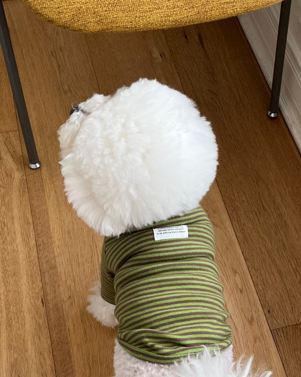 Everyday Stripe Turtle-Neck / 4Color