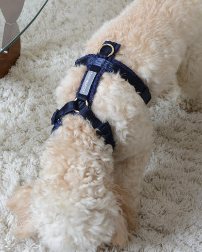 Tweed Harness