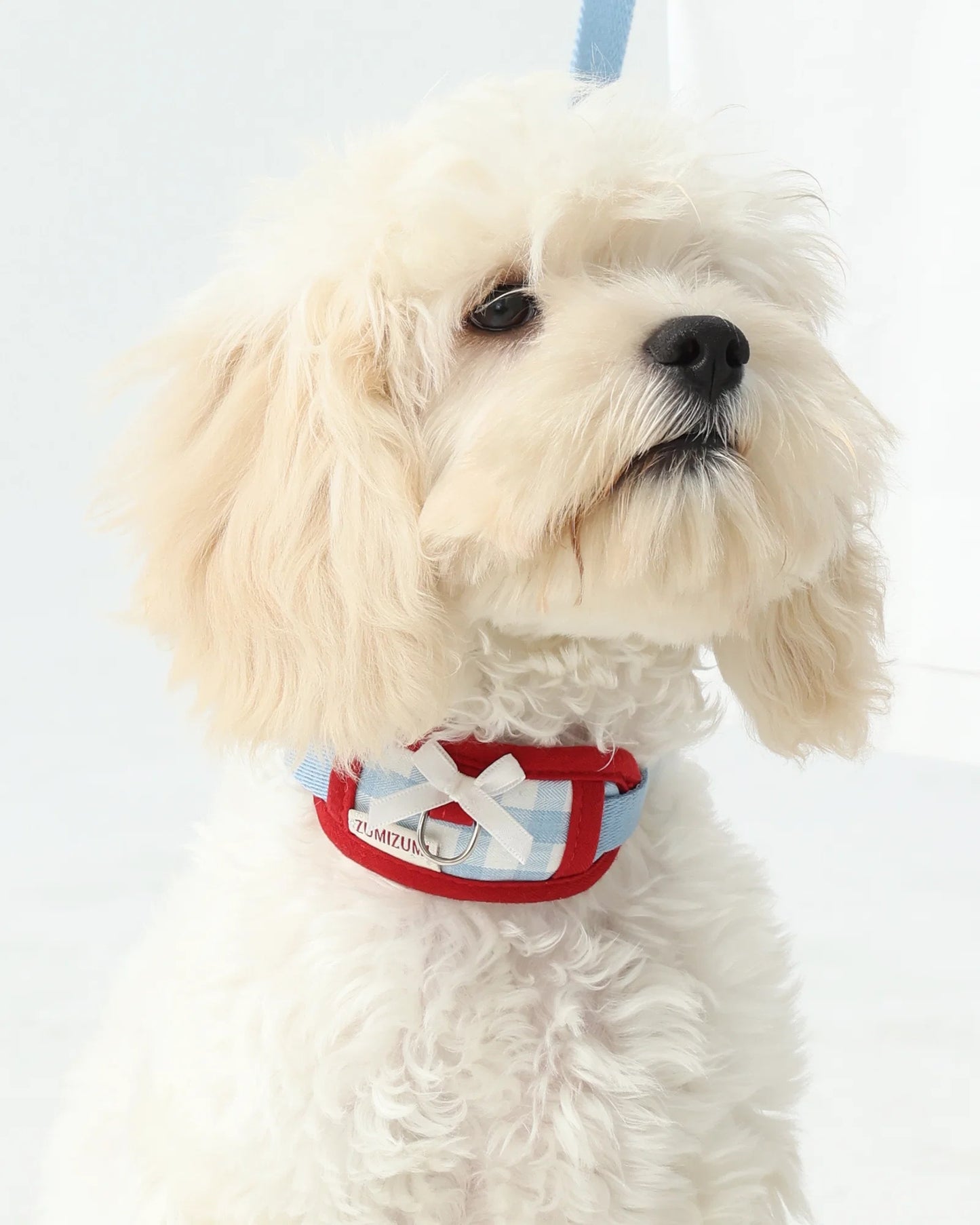 【予約】Neck Protection Pet Collar / 2Color