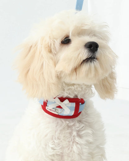 【予約】Neck Protection Pet Collar / 2Color