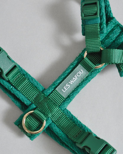 Tweed Harness