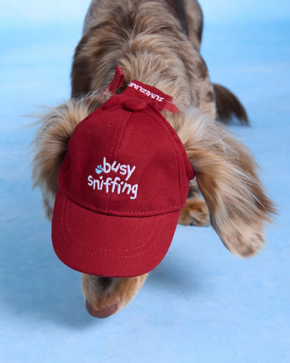 【予約】Pet Baseball Cap / 2Color