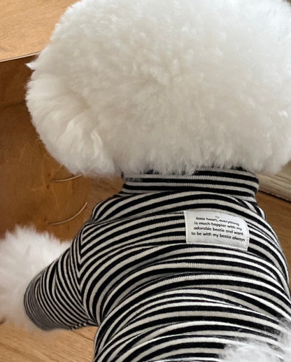 Everyday Stripe Turtle-Neck / 4Color