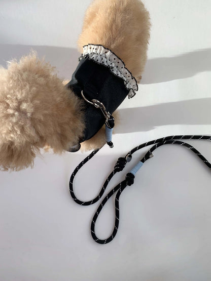 【予約】Dotty Rope leash / 3Color