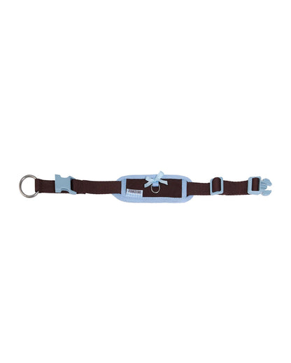 【予約】Neck Protection Pet Collar / Classic (Brown・Blue)