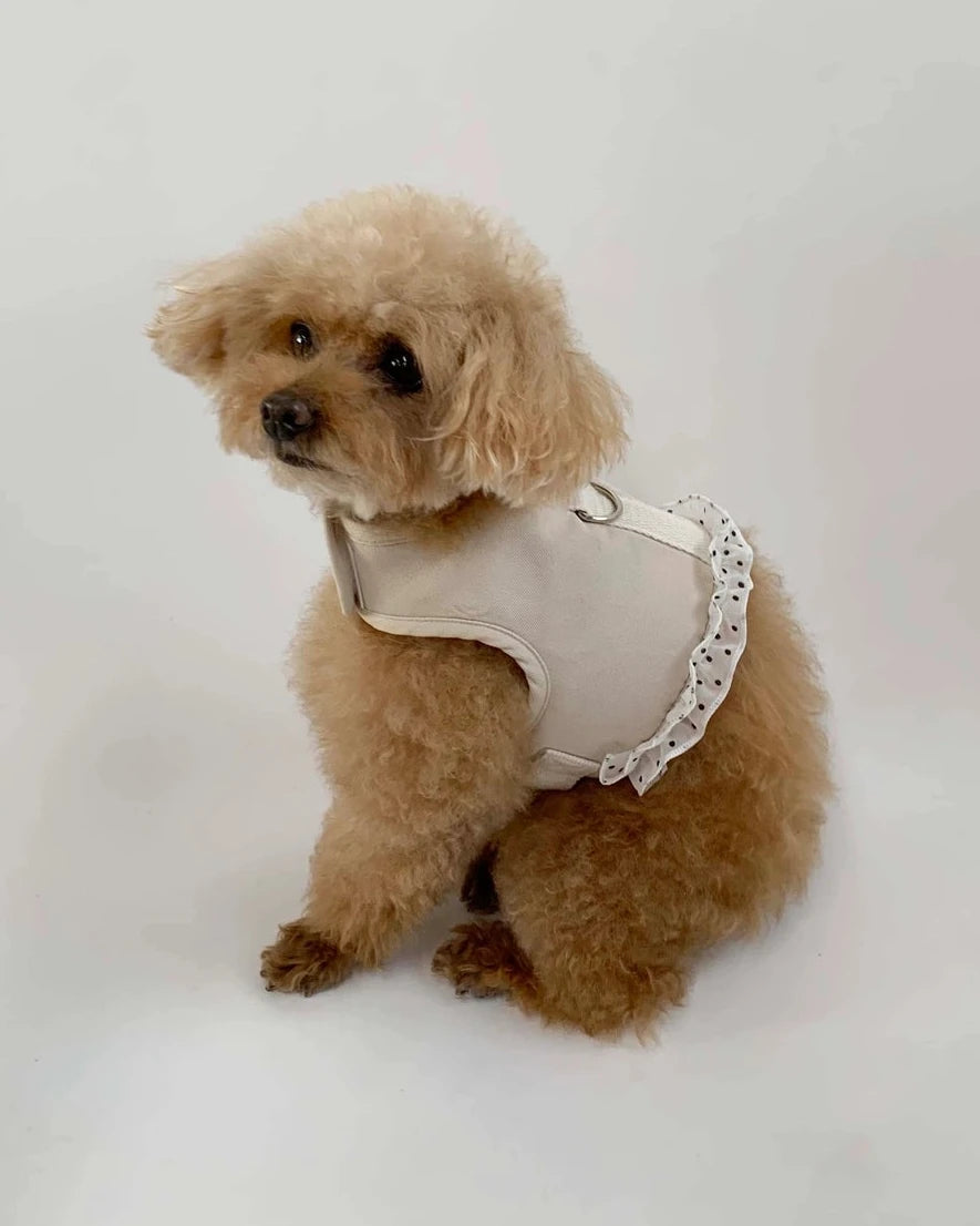 【予約】Dot Denim Harness / Cream