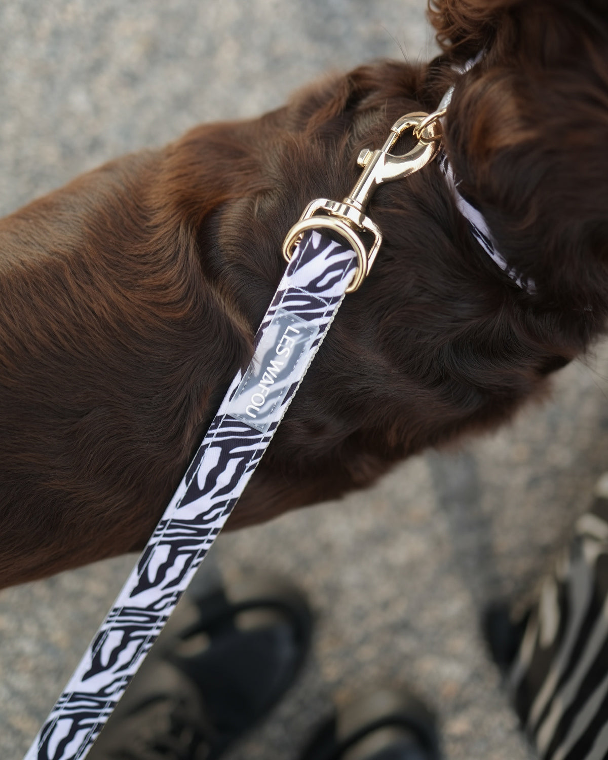 Zebra / Dalmatian Multiway Leash