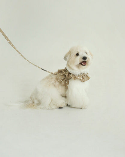 CAPENESS NO.23leash _ Beige