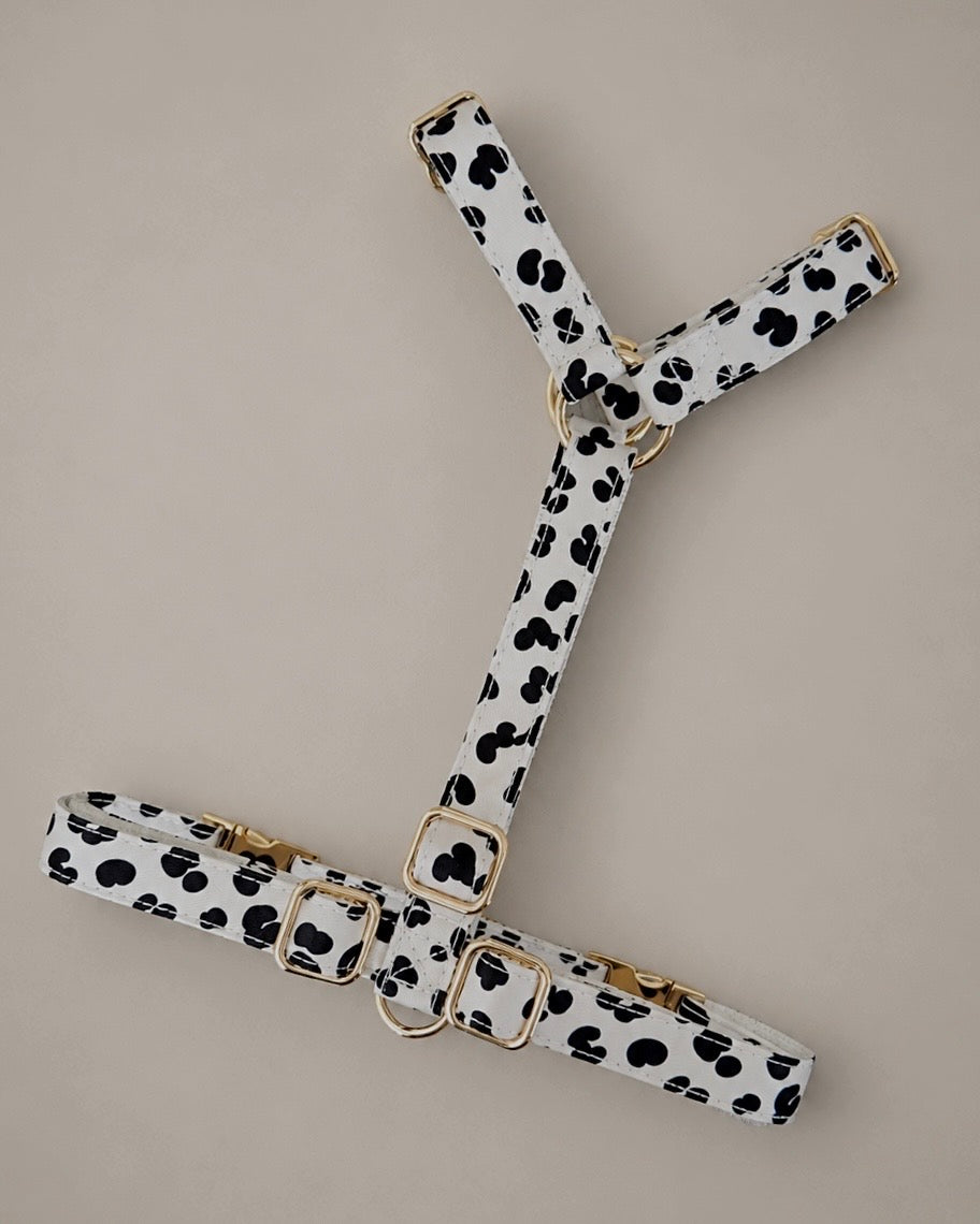 Zebra / Dalmatian Harness