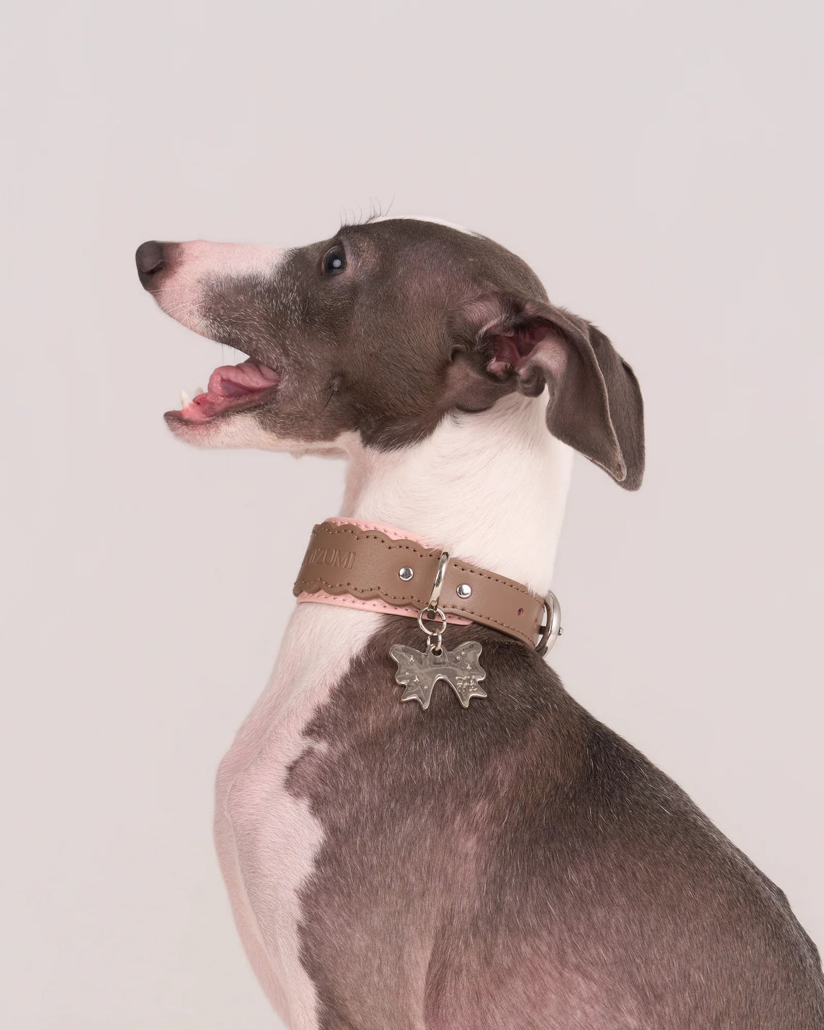 【予約】Scalloped Leather Collar / 3Color