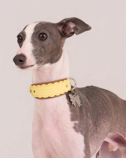 【予約】Scalloped Leather Collar / 3Color
