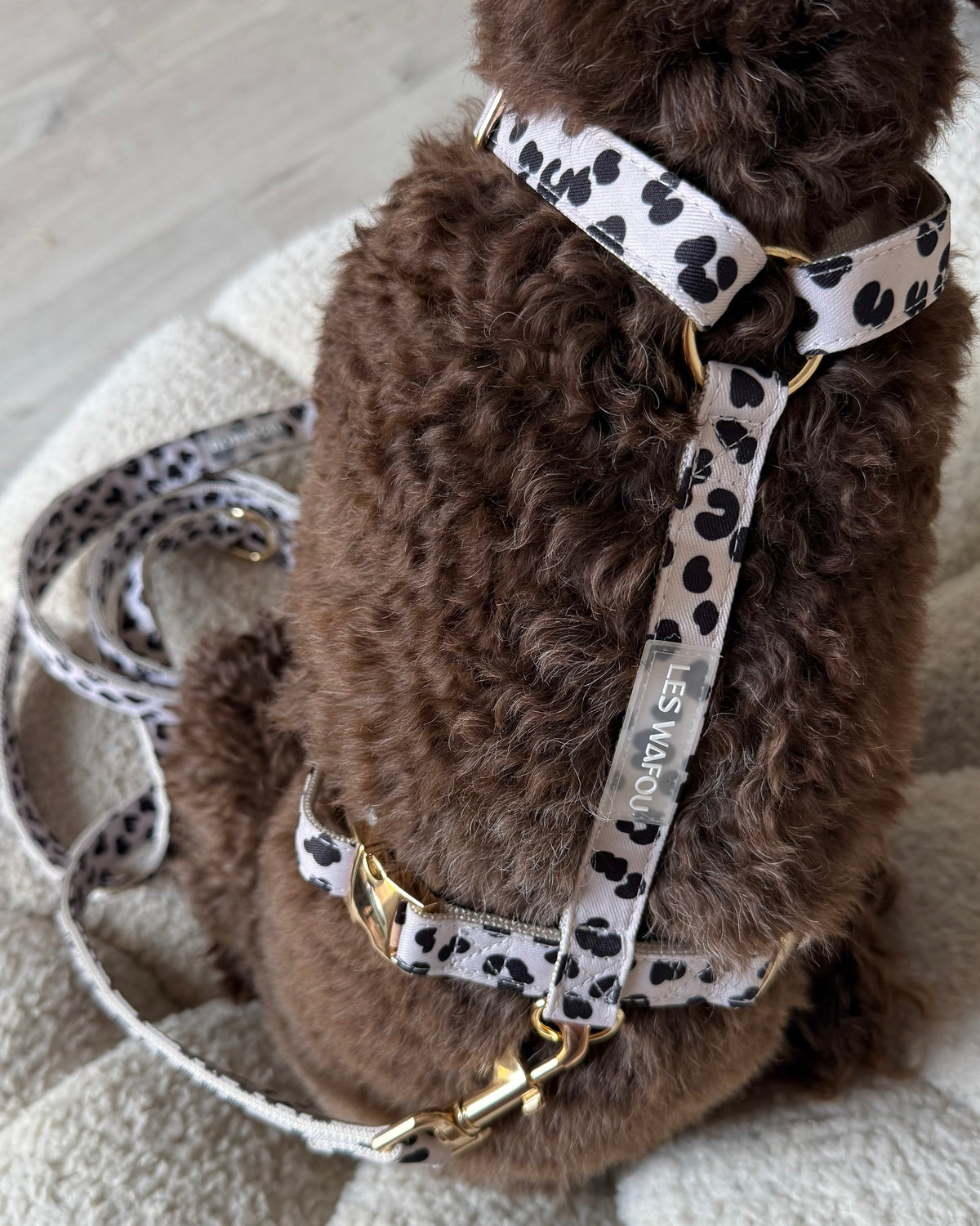 Zebra / Dalmatian Harness