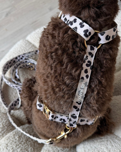 Zebra / Dalmatian Harness