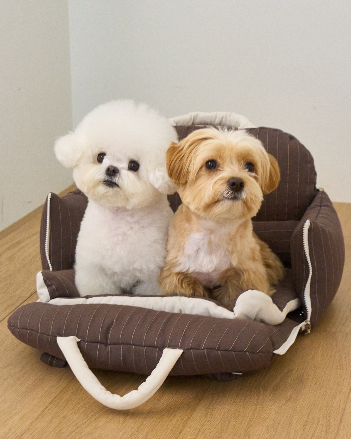 26FW NEW | Cuddle-Bag / Cocoa