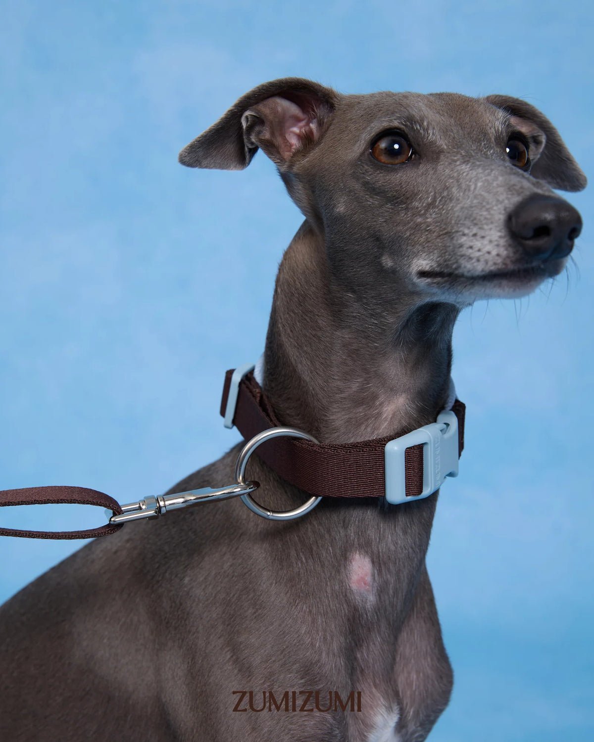 【予約】Neck Protection Pet Collar / Classic (Brown・Blue)