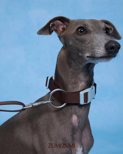 【予約】Neck Protection Pet Collar / Classic (Brown・Blue)