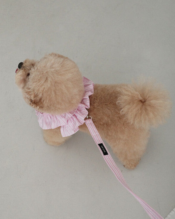 CAPENESS NO.19_PINK STRIPE