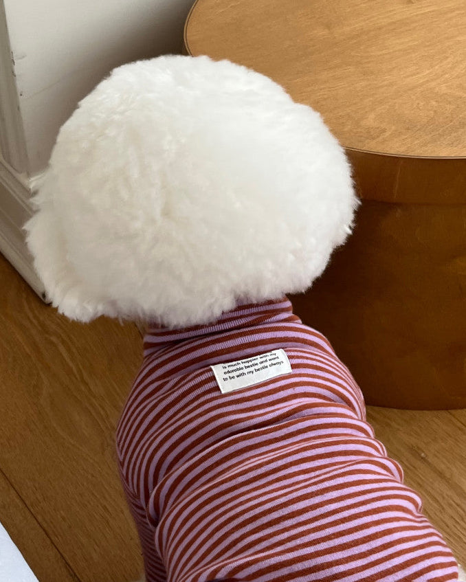 Everyday Stripe Turtle-Neck / 4Color