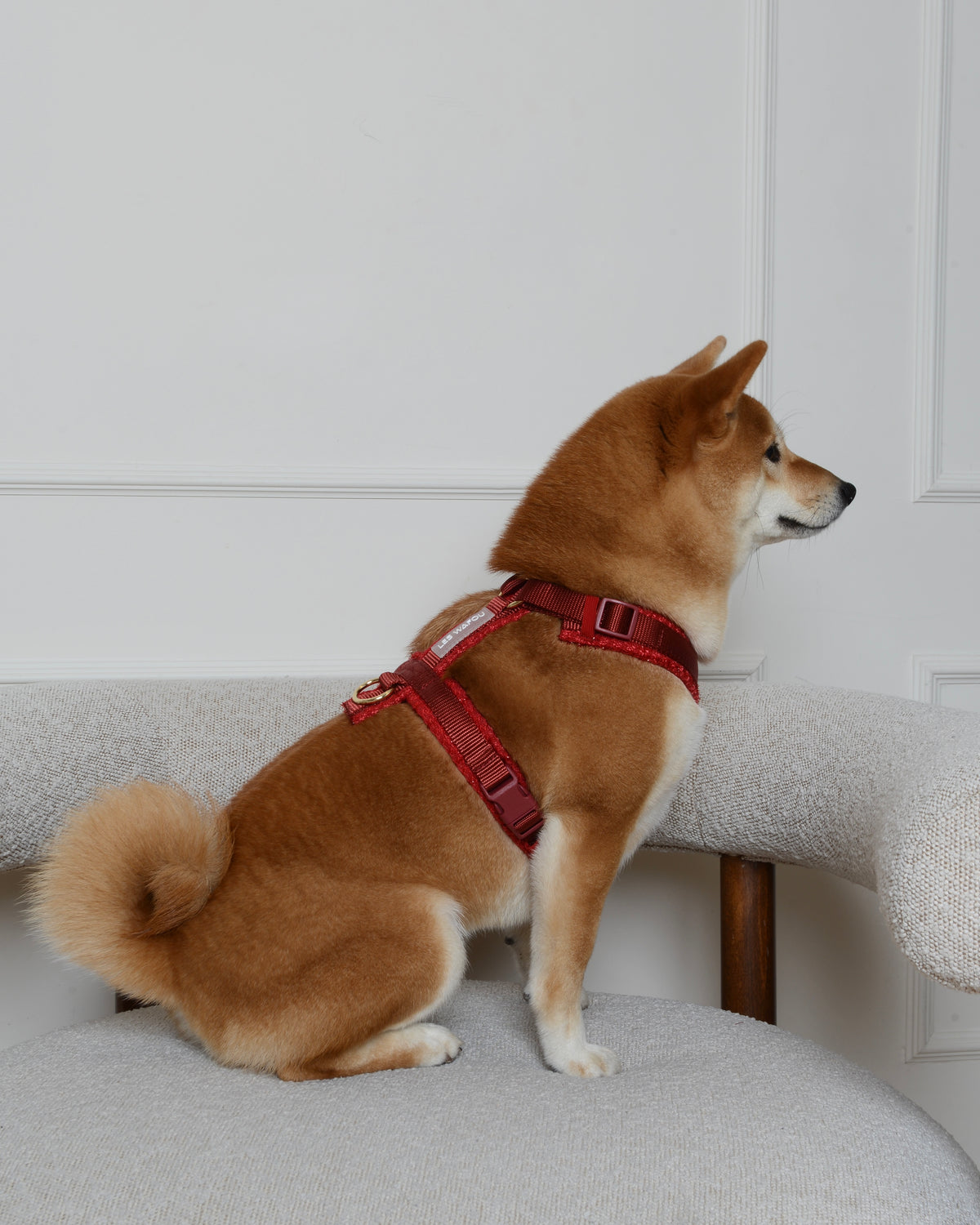 Tweed Harness