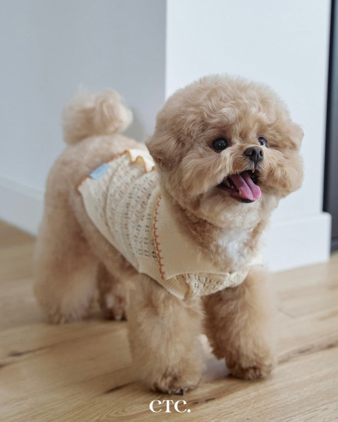 Cool Air Crochet Knit / Amber