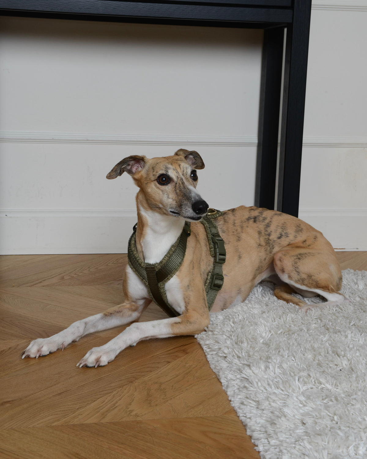 Tweed Harness