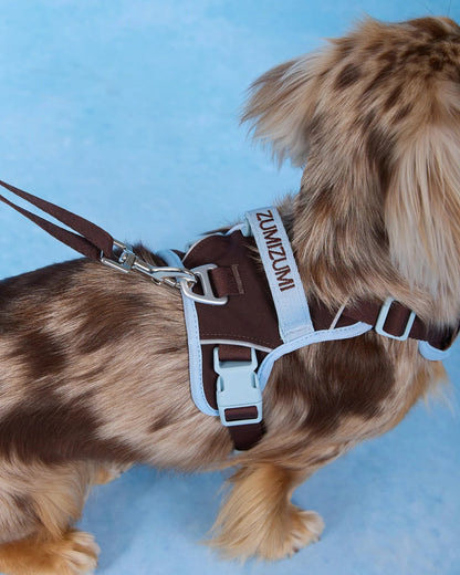 【予約】Chelsea Everyday Harness / Classic (Brown・Blue)