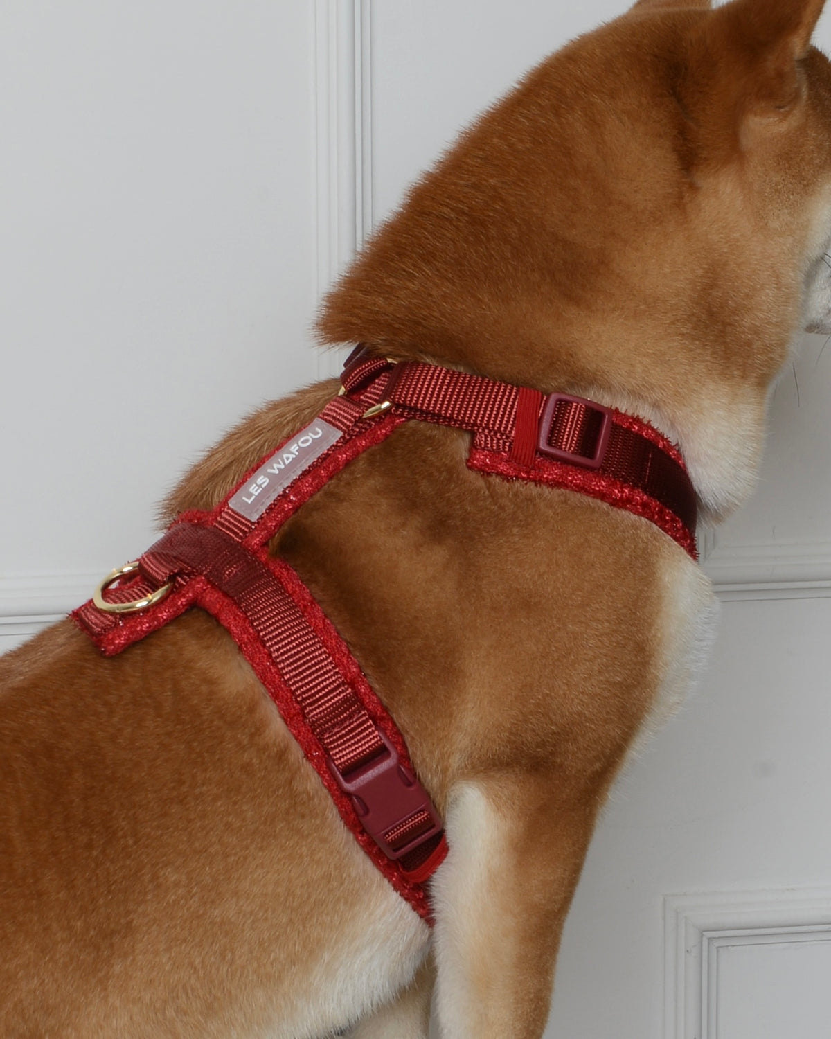 Tweed Harness
