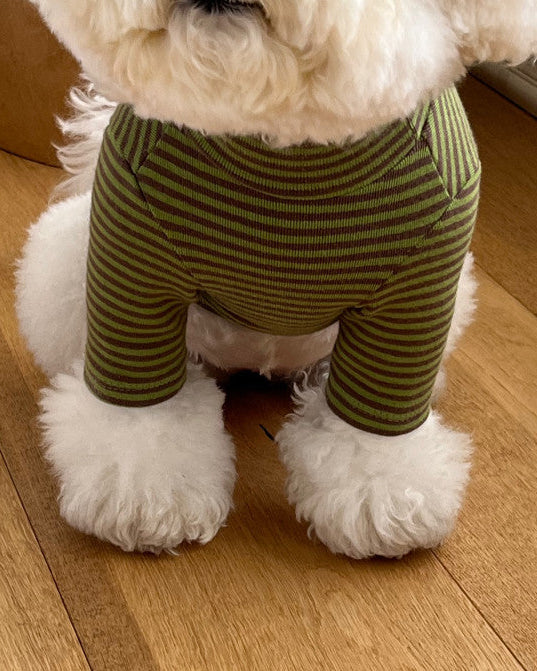 Everyday Stripe Turtle-Neck / 4Color