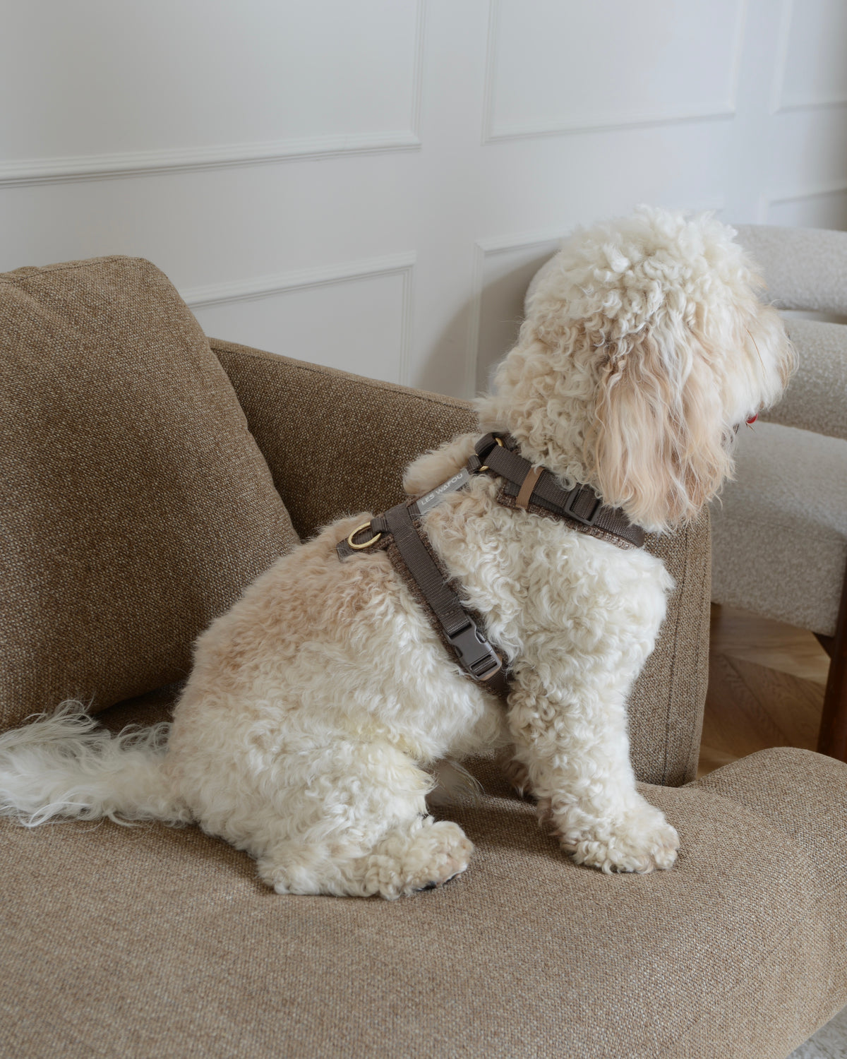 Tweed Harness