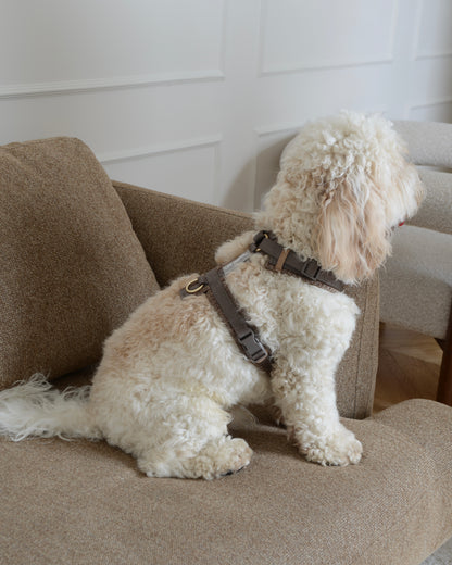 Tweed Harness