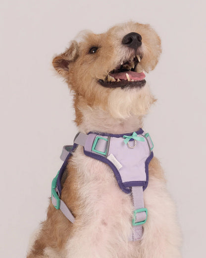 【予約】Chelsea Pie Harness / 2Color