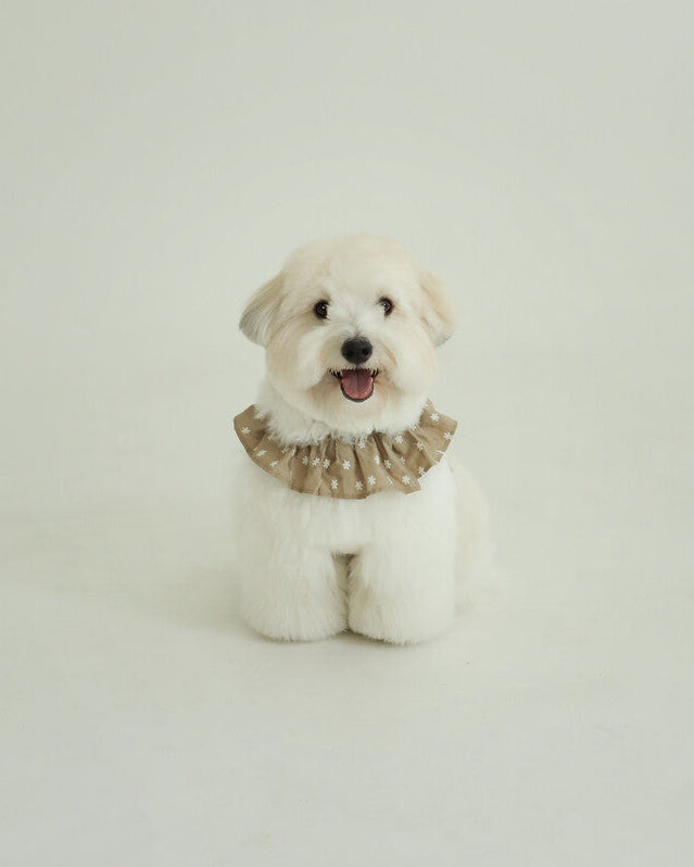 CAPENESS NO.23leash _ Beige