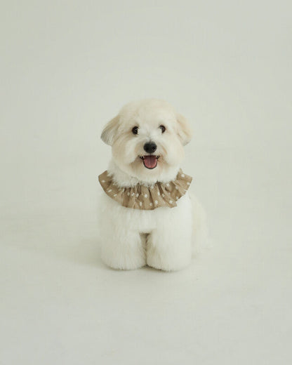 CAPENESS NO.23leash _ Beige