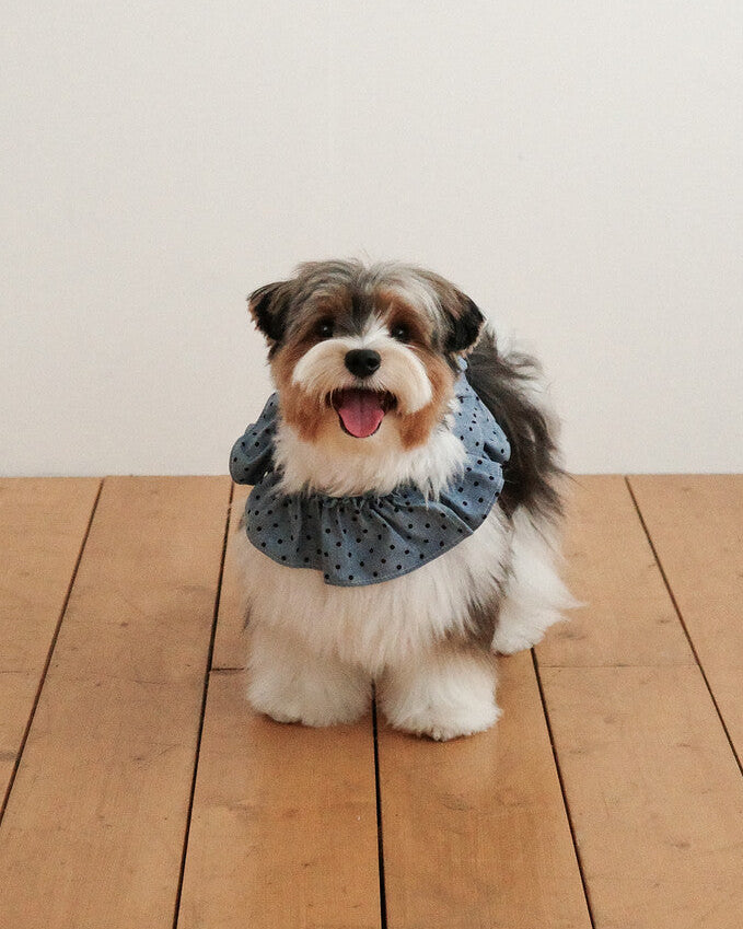 CAPENESS NO.22 leash _ Dot Denim