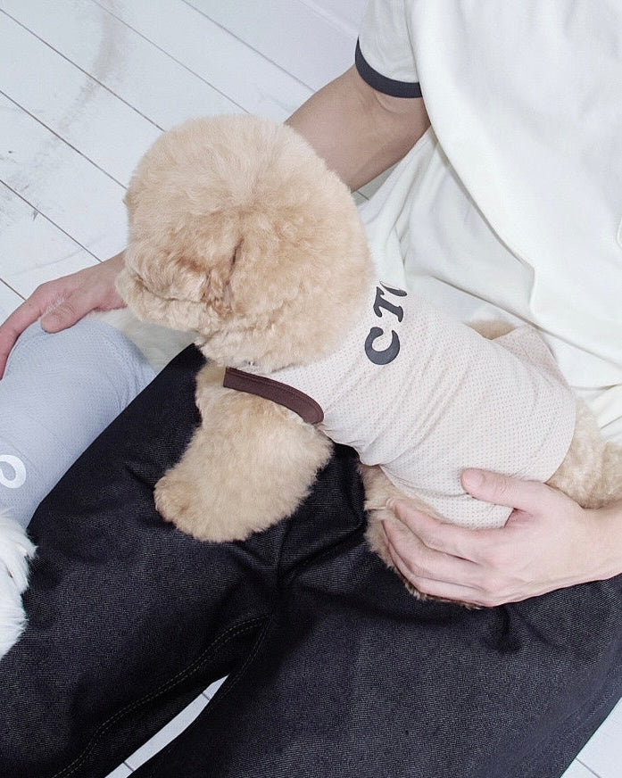 Air Mesh Cooling Tee / Taupe Brown