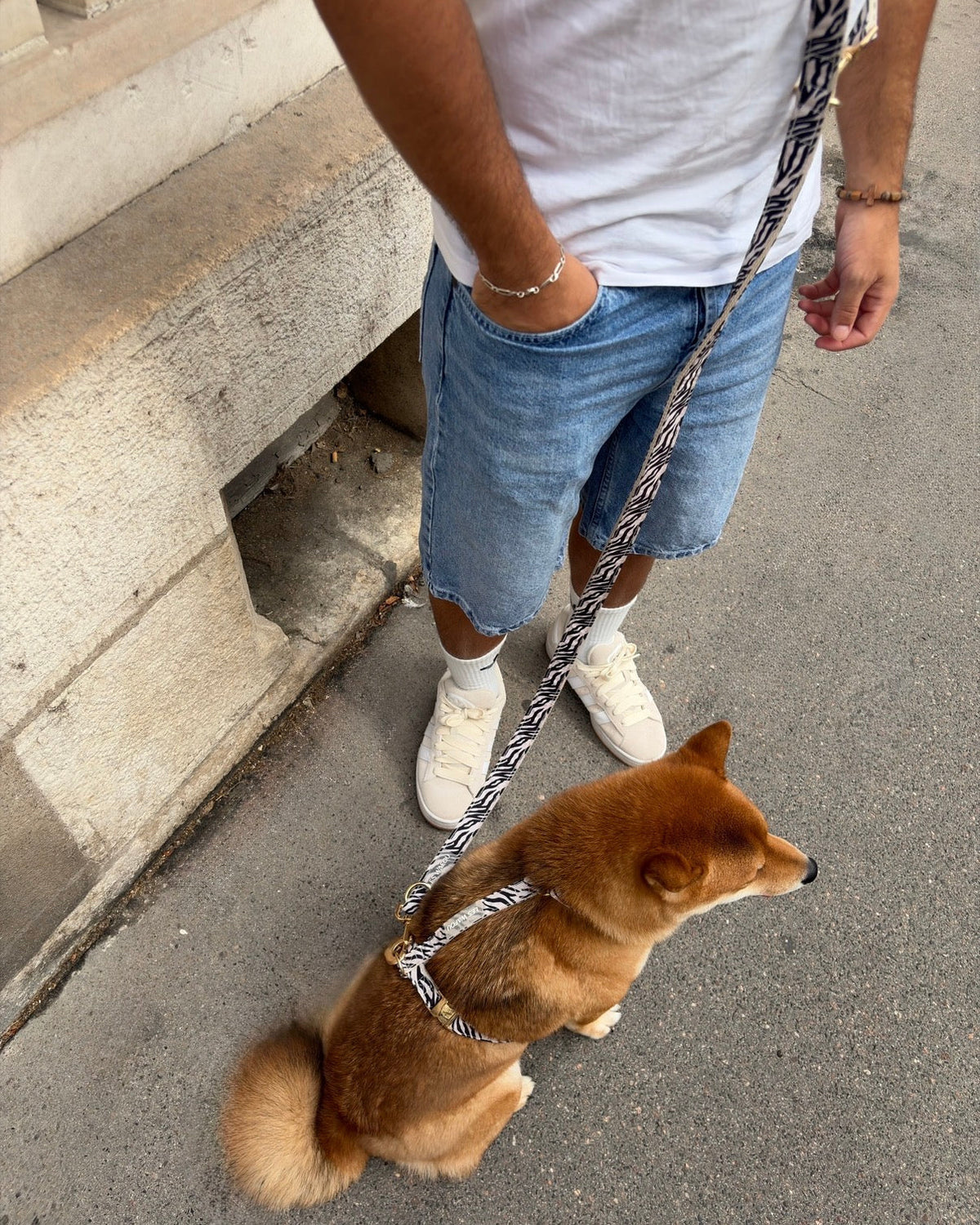 Zebra / Dalmatian Multiway Leash
