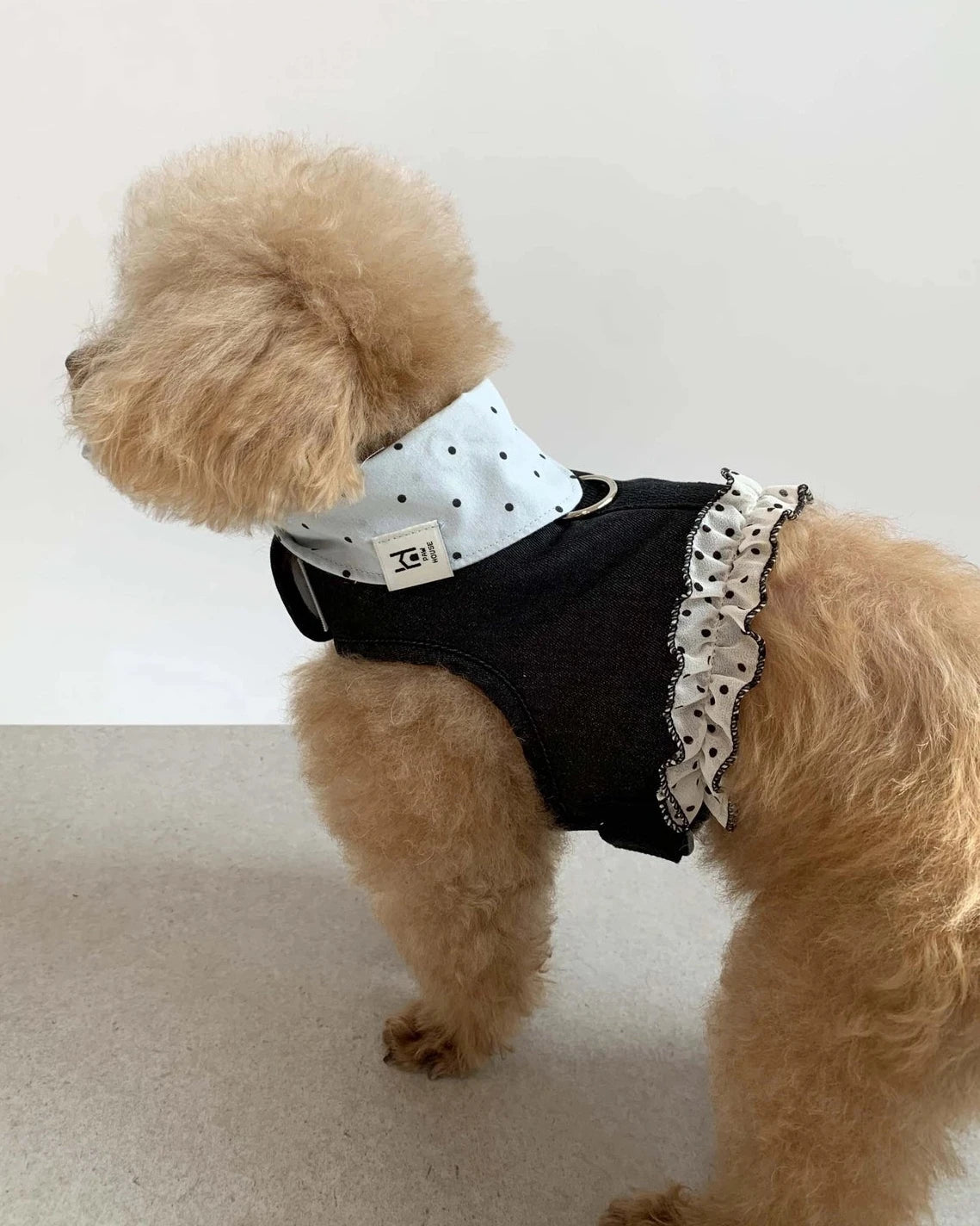 【予約】Dot Denim Harness / Dark Indigo