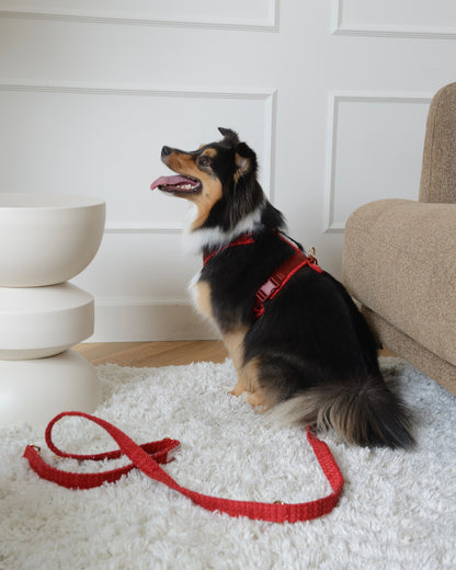 Tweed Harness