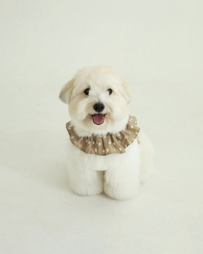 CAPENESS NO.23leash _ Beige